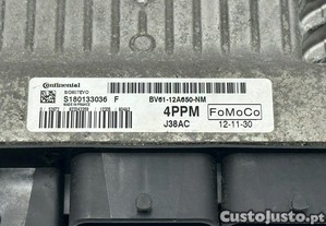 imagem_2