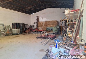 imagem_4