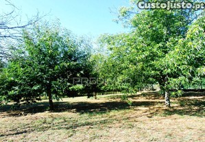 imagem_38