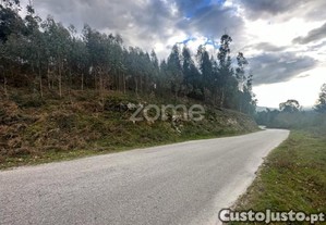 Terreno Rustico Em Fonte Arcada E Oliveira...