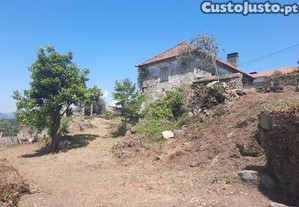imagem_12