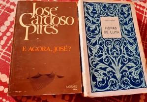 Obras de José Cardoso Pires e Guerra Junqueiro
