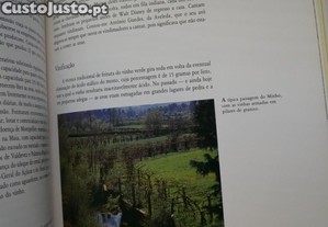 imagem_4