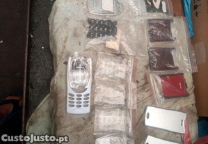 imagem_4
