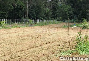 Terreno Rústico Com 5.670 M2 Em Fradelos V.N....