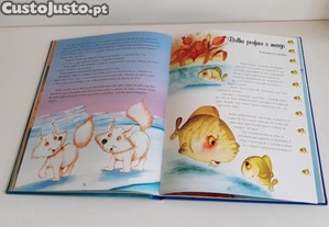 imagem_6