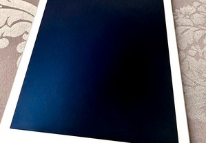 iPad Air 2 de 64Gb com capa