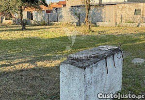 imagem_25