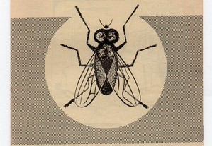 A mosca - folheto de 1967