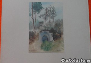 imagem_8