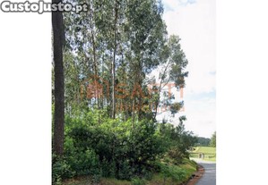 Terreno Para Construo