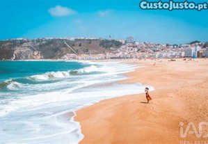 imagem_12