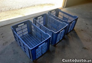 imagem_2