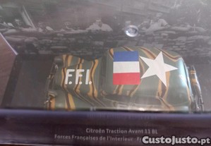 imagem_5