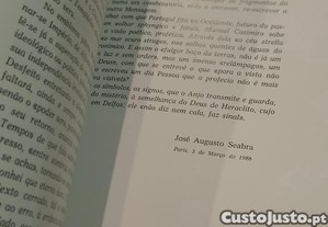 imagem_6