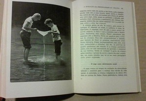 imagem_7
