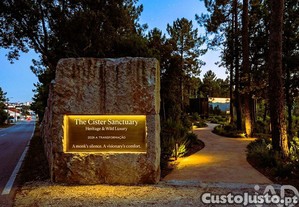 Terreno misto em Pataias e Martingança
