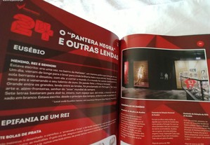 imagem_7