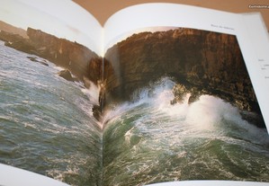 imagem_12