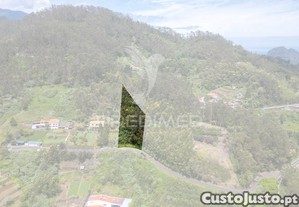 imagem_32