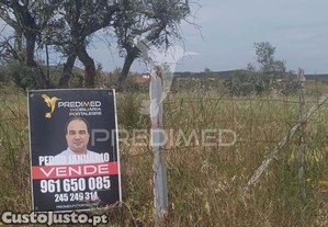 Excelente para quem um refúgio no campo ou um investimento em agricultura tradicional alentejana.