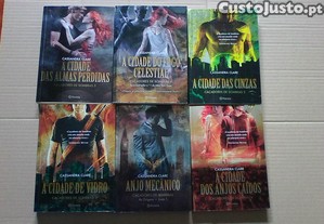 imagem_8
