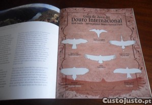 imagem_8
