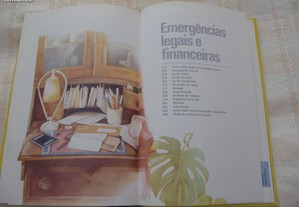 imagem_8