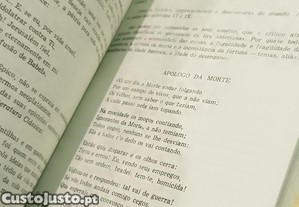 imagem_8