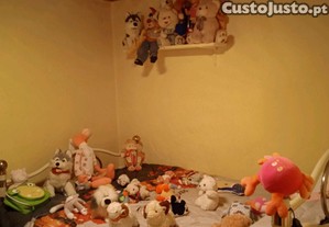 imagem_6