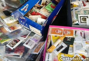 imagem_4
