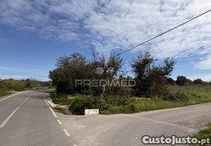 Terreno com ruína e potencial de construção   conceição de faro | próximo de faro