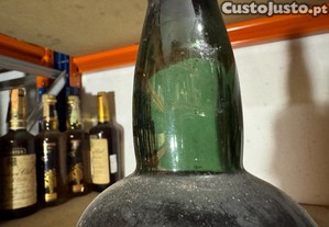imagem_5