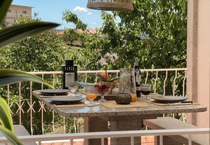 CASA de FERIAS c/ piscina, no DOURO churrasqueira, lareira V4