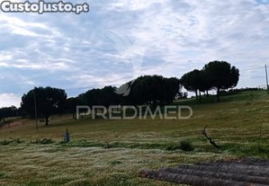 imagem_32