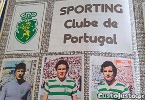 imagem_4