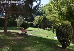 imagem_29