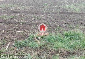 [240-T-16808] Terreno rustico c/ 2.750m2 em Faj...