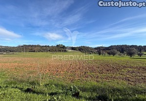 imagem_24