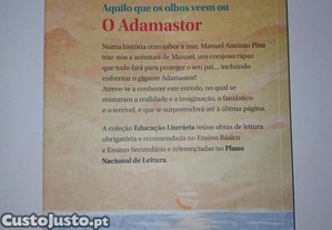 imagem_2