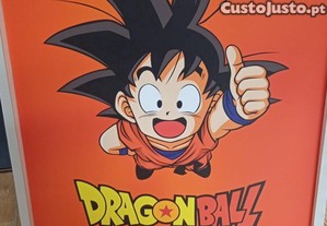 imagem_7