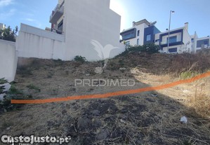 imagem_7