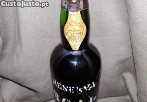 imagem_3