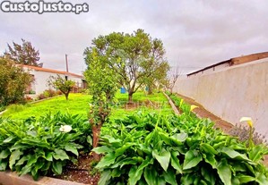 imagem_31