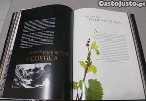 imagem_2