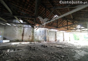 imagem_13