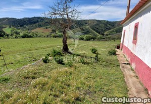 imagem_7
