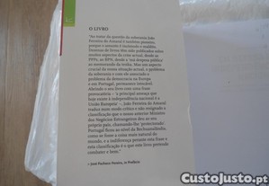 imagem_4
