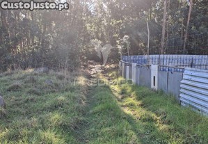 imagem_11