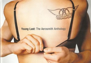 Aerosmith - The Aerosmith Anthology (2 CD)